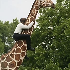 Zoo Hamburgo 17-06-11 1951