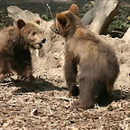 Zoo Hamburgo 17-06-11 882