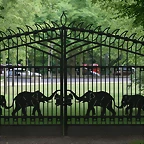 Zoo Hamburgo 17-06-11 1946