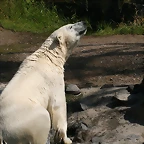 Zoo Hannover 18-06-11 918