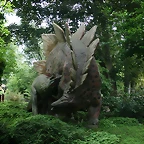 Zoo Hamburgo 17-06-11 177