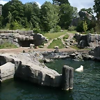 Zoo Hannover 18-06-11 957