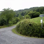 DSCN4786
