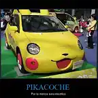 CR_14771_pikacoche