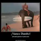 dumbo_3