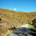 DSCN9037