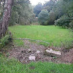 DSCN5299