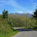 25-IMG_6378