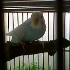 IMG00009-20101008-1620