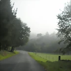 DSCN9788