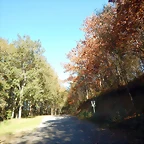 DSCN1078