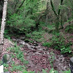 DSCN6274