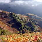 DSCN4458