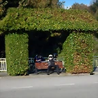 DSCN1553