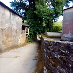 DSCN6377