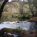 DSCN3747