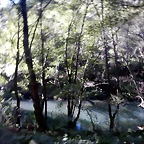 DSCN8890