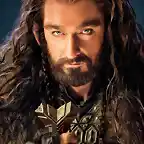 29-Thorin-EWiPad-July2012 (1)