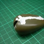 DSCN2225