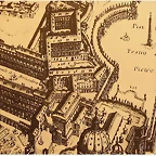 basil1667