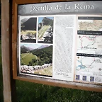 DSCN8009