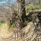 DSCN3972