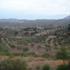 DSC00518