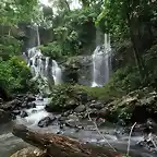 El interior de la selva de la ecorregin