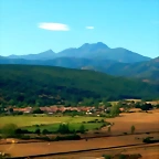 DSCN6978