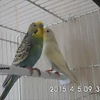 CIMG0883