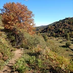 DSCN8036