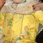 falleramarillo2