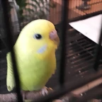 20170509_191037
