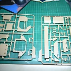 DSCN3529
