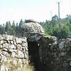 DSCN7850