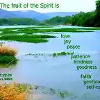 fruits_of_spirit4