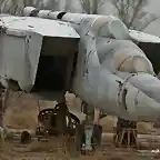 Mig-25(84_red)_(8214737409)