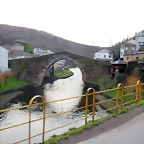 DSCN5019