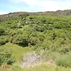 DSCN1136