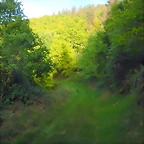 DSCN2089