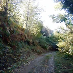 DSCN0034