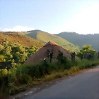 DSCN2454