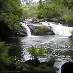 DSCN2812