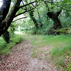 DSCN4370