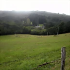 DSCN8388