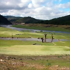 DSCN5531