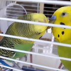 20190629_143408