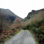 DSCN4012