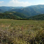 DSCN9169