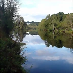 DSCN5298